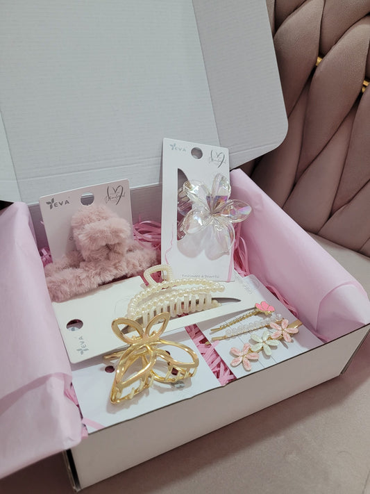 Coffret de 5 pinces à cheveux mystère